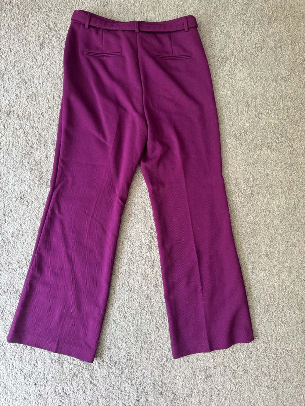 Ann Taylor Women's Plum Wide-Leg Belted Trousers - Picture 2 of 4